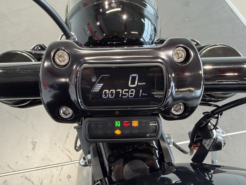 HARLEY-DAVIDSON SOFTAIL 2021