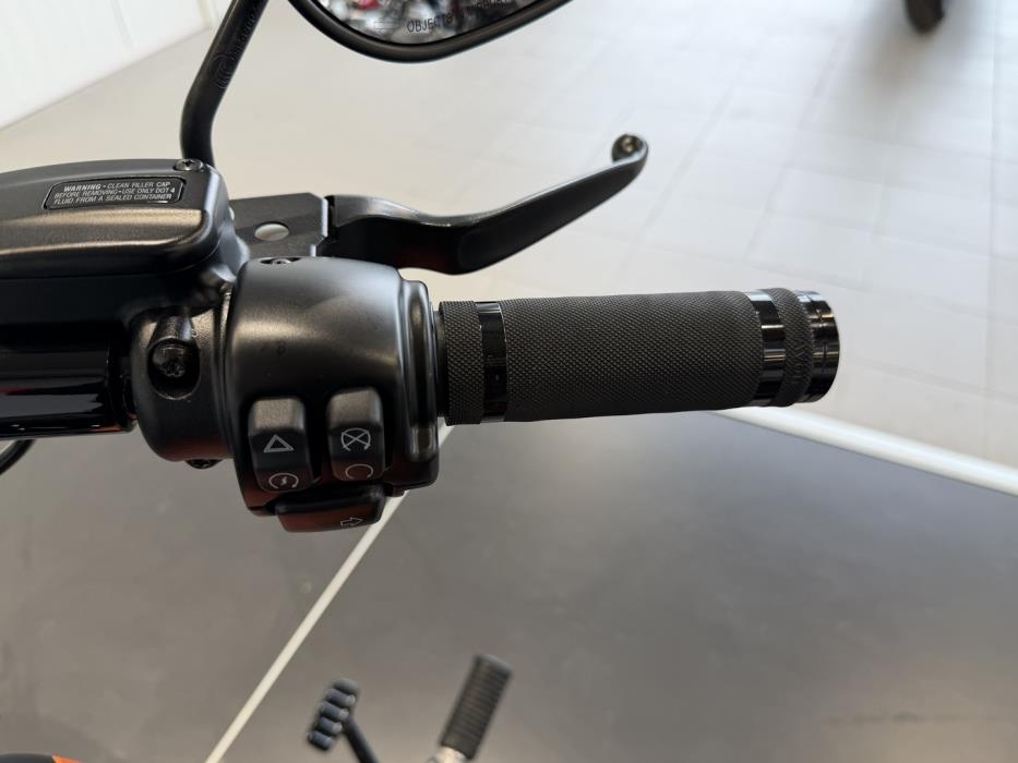 HARLEY-DAVIDSON SOFTAIL 2021