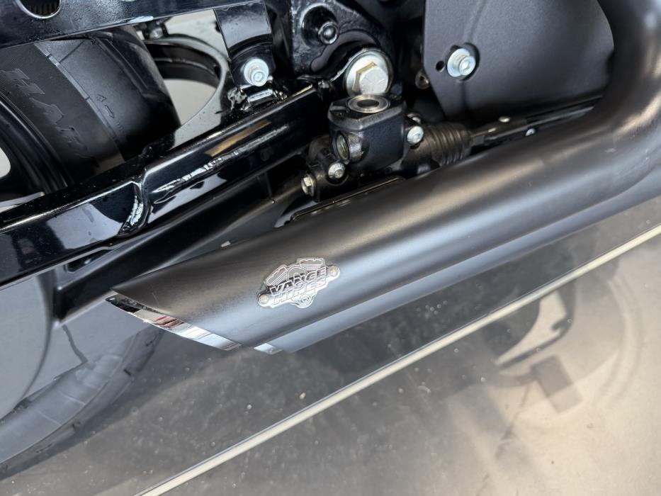 HARLEY-DAVIDSON SPORTSTER 2021