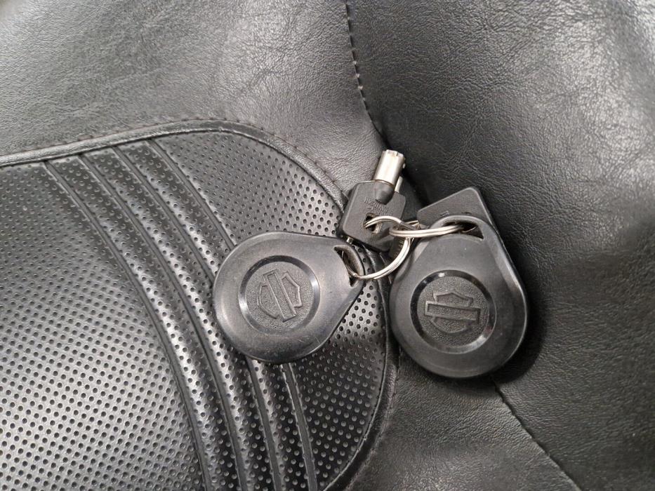 HARLEY-DAVIDSON TOURING 2010