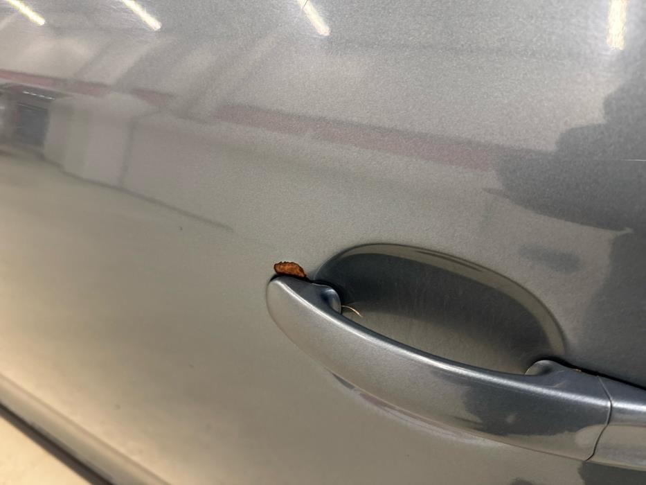 VOLKSWAGEN Jetta 2006