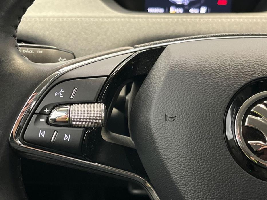 SKODA Enyaq 2022