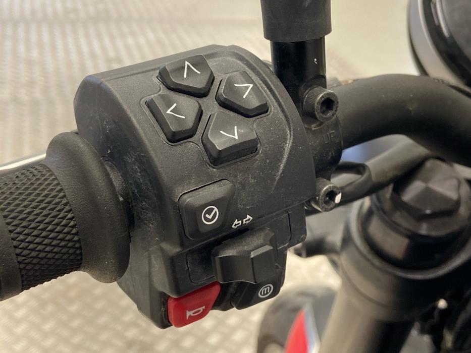 TRIUMPH TRIDENT 2021