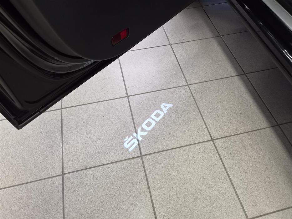 SKODA Karoq 2019