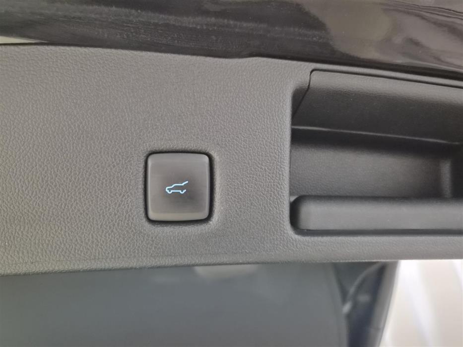 FORD Kuga 2023