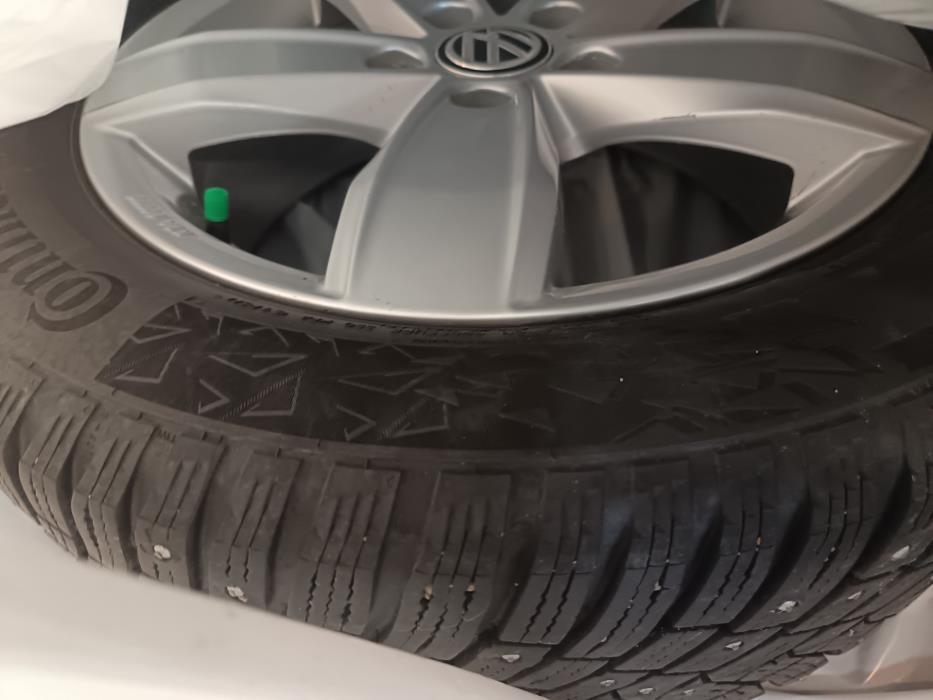 VOLKSWAGEN Golf Sportsvan 2019