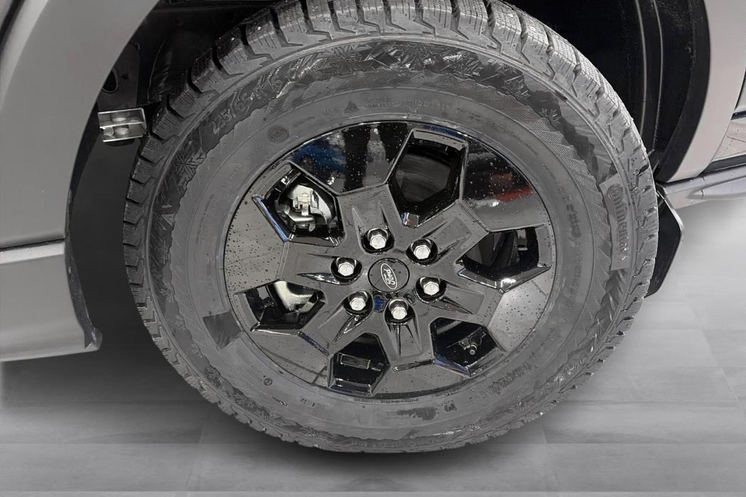 FORD TRANSIT 2025