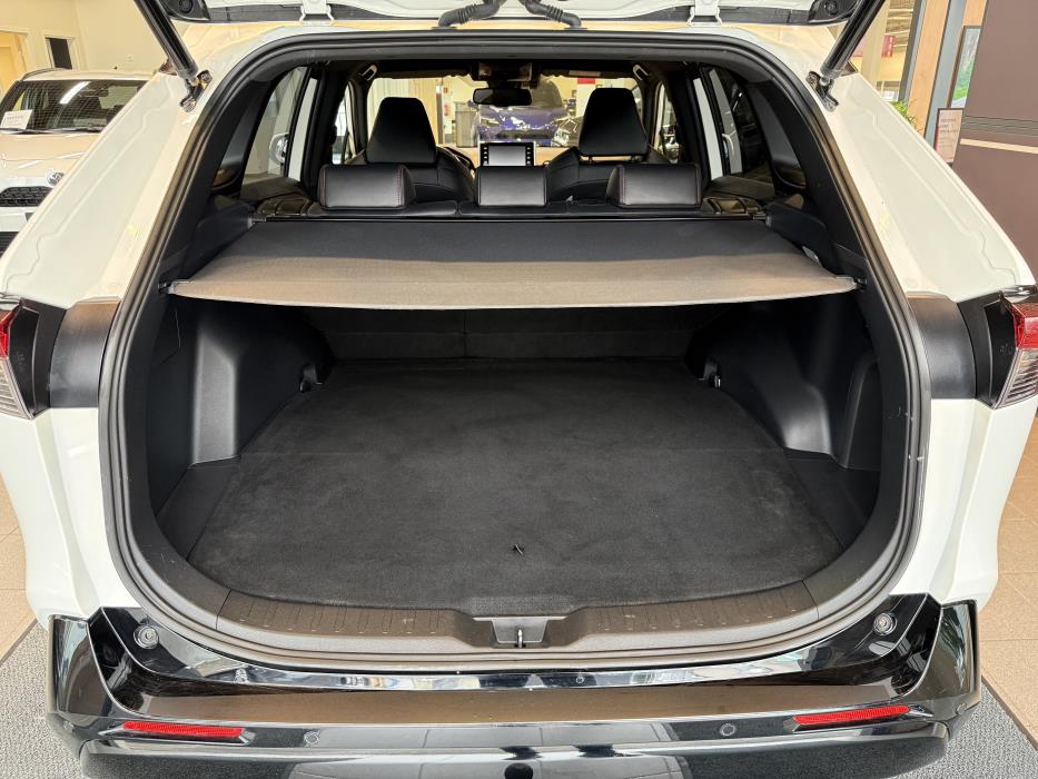 TOYOTA RAV4 Plug-in 2020