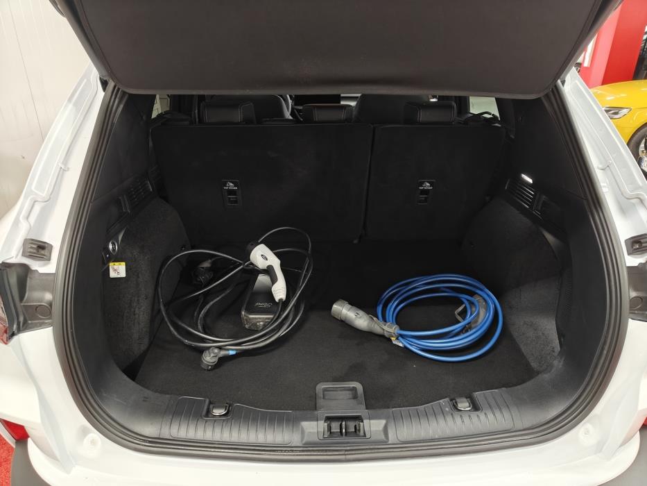 FORD Kuga 2025