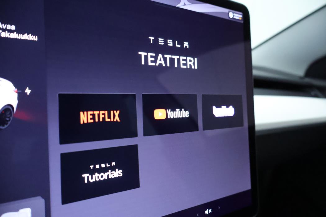 TESLA Model 3 2021