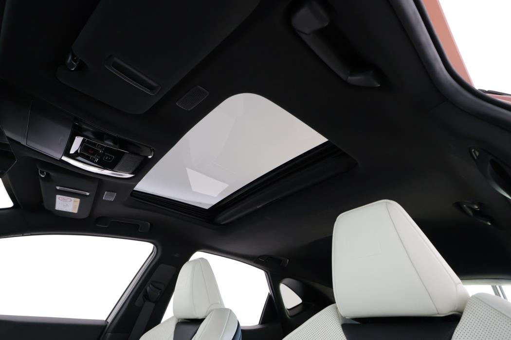 LEXUS NX 2022