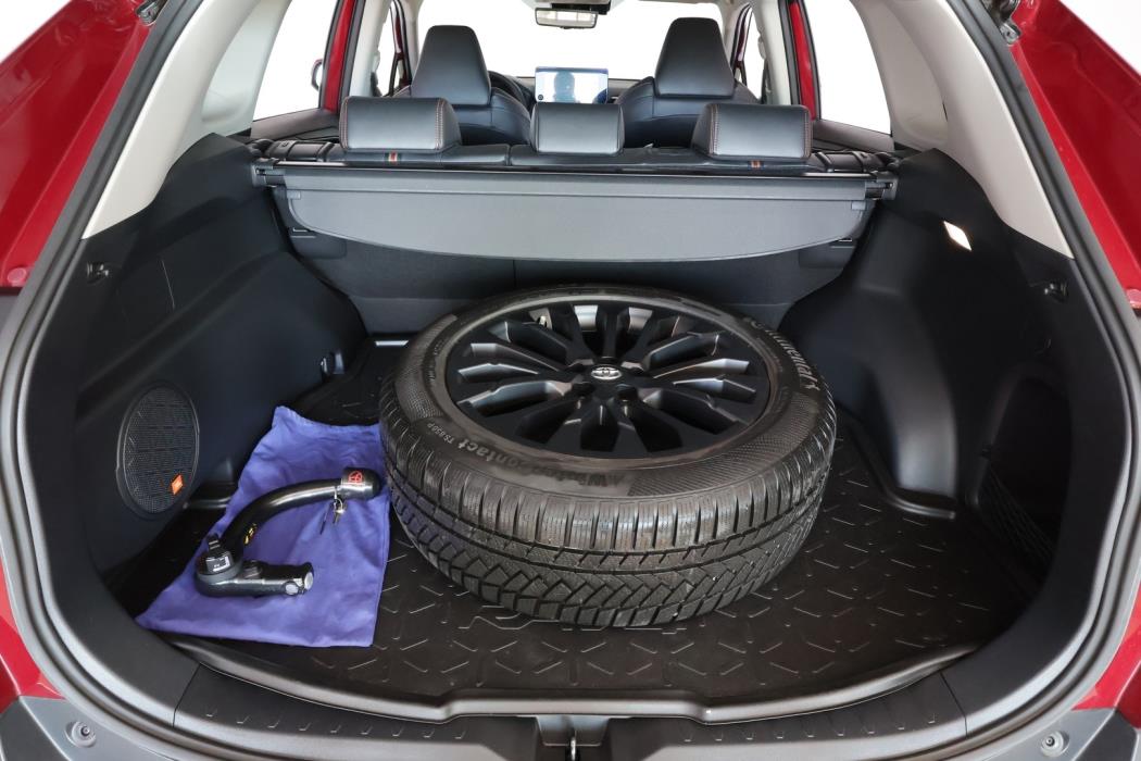 TOYOTA RAV4 2024