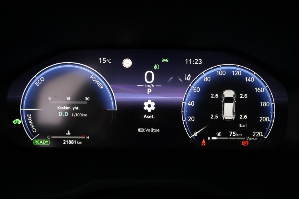 TOYOTA RAV4 2024