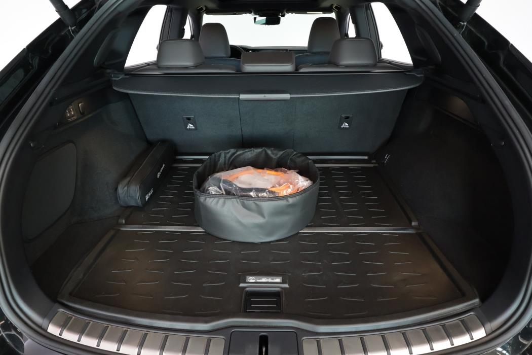 LEXUS RX 2025