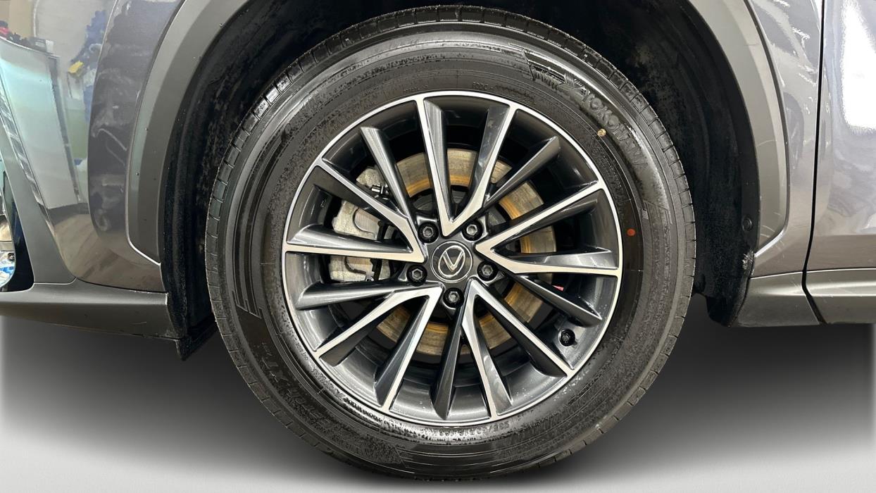 Lexus NX 2025