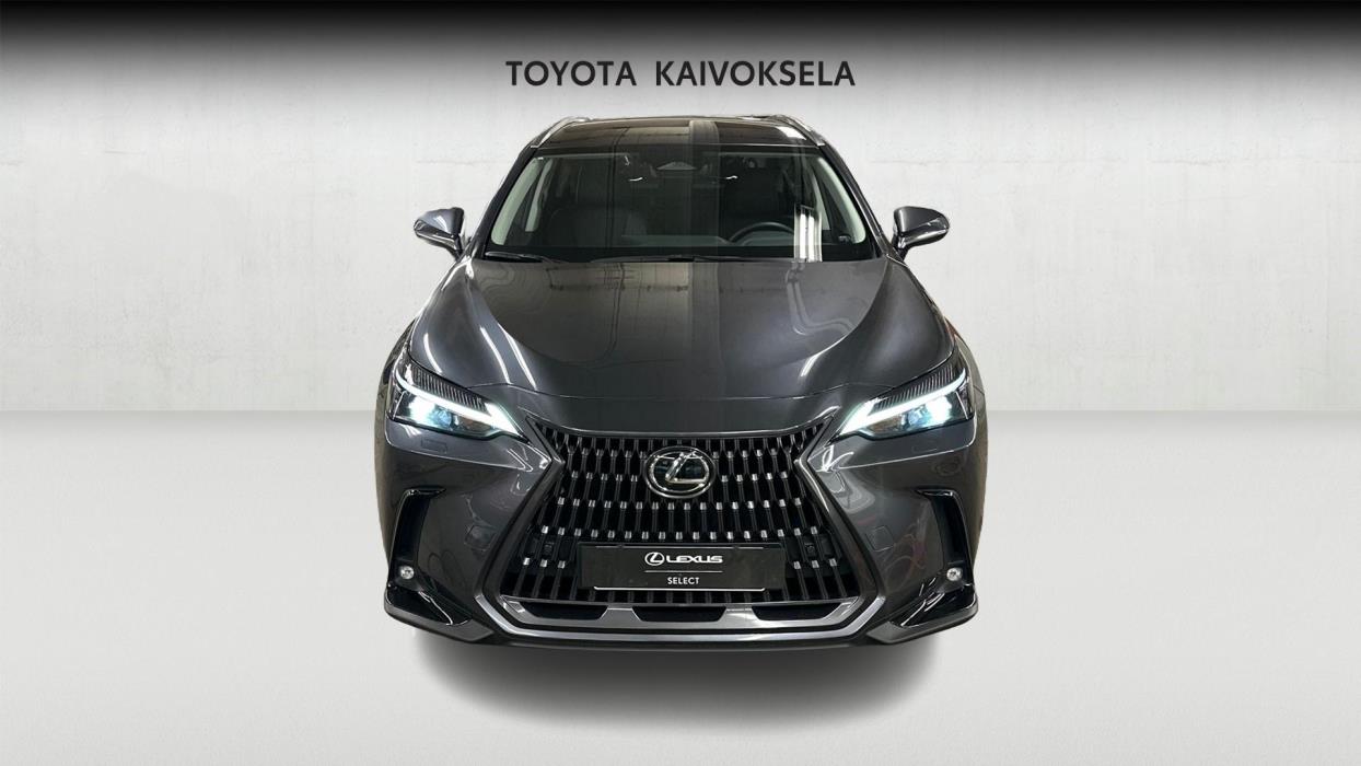 Lexus NX 2025