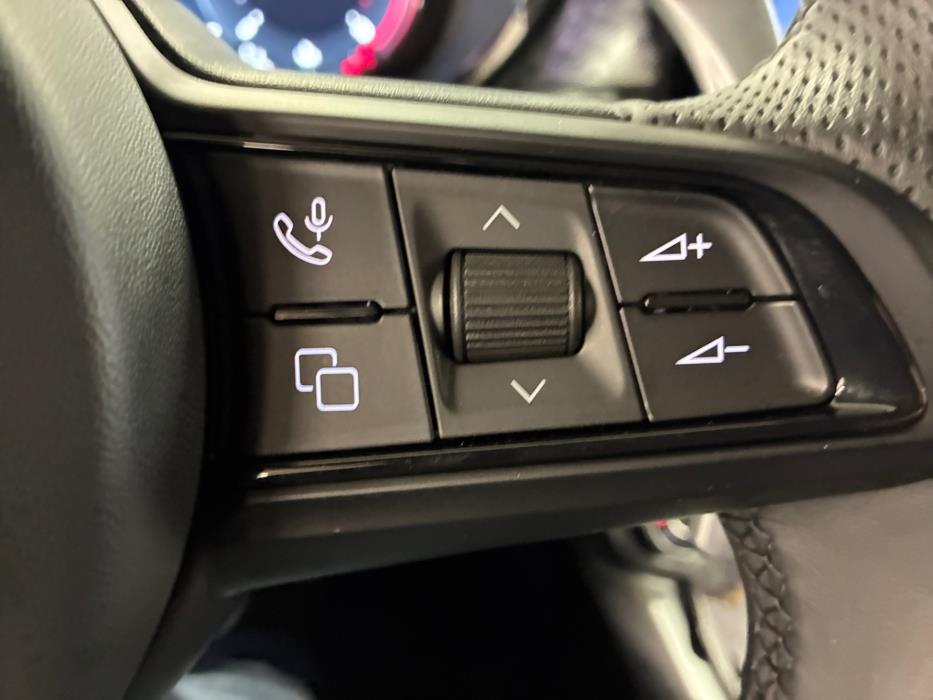 ALFA ROMEO Tonale 2024