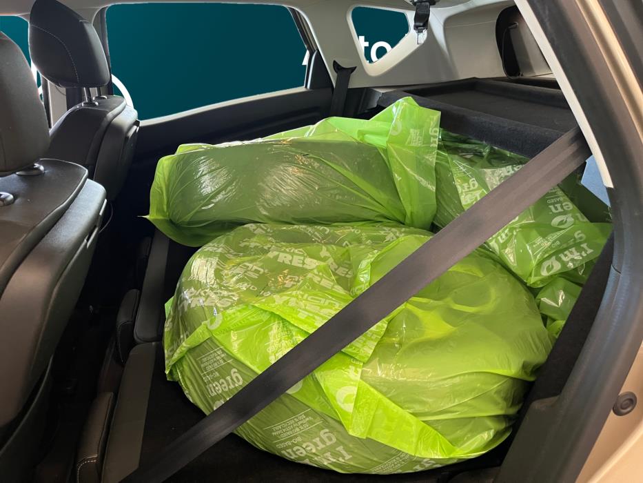 RENAULT Scenic 2019