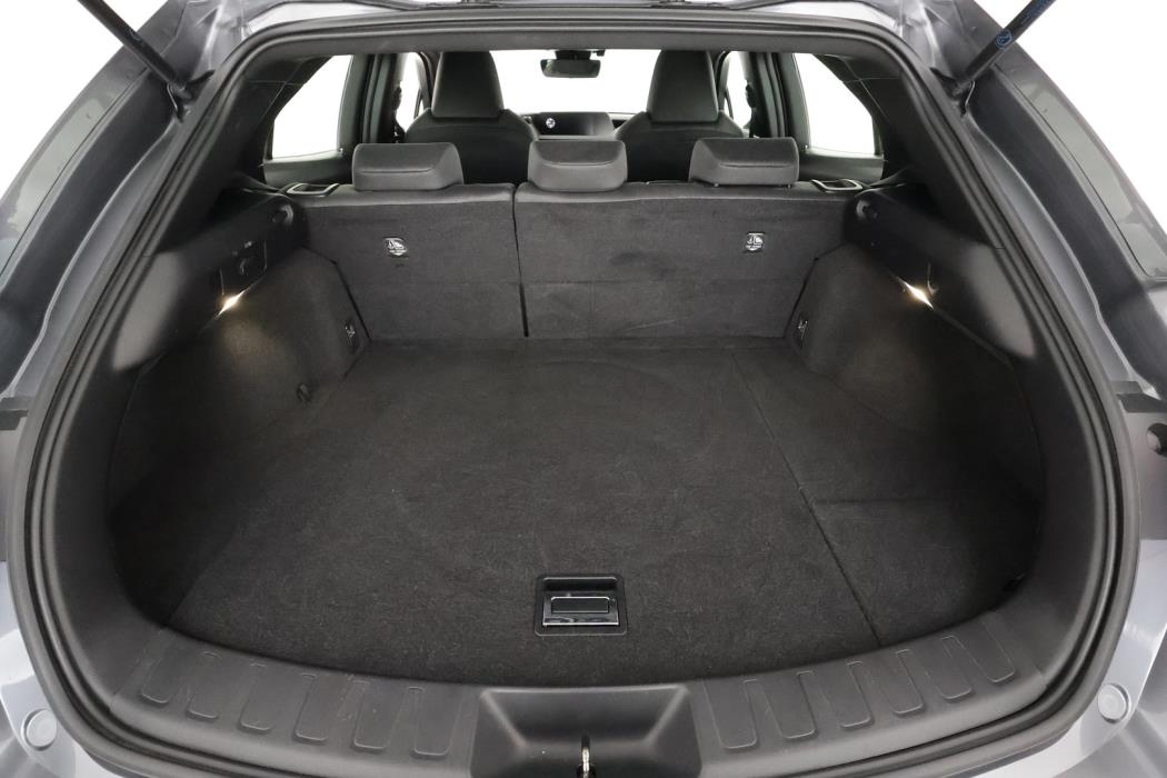 LEXUS UX 2019