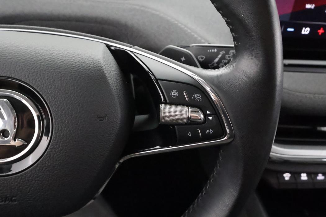 SKODA Enyaq 2022