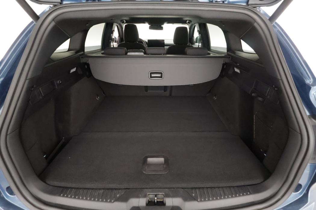 FORD FOCUS 2024