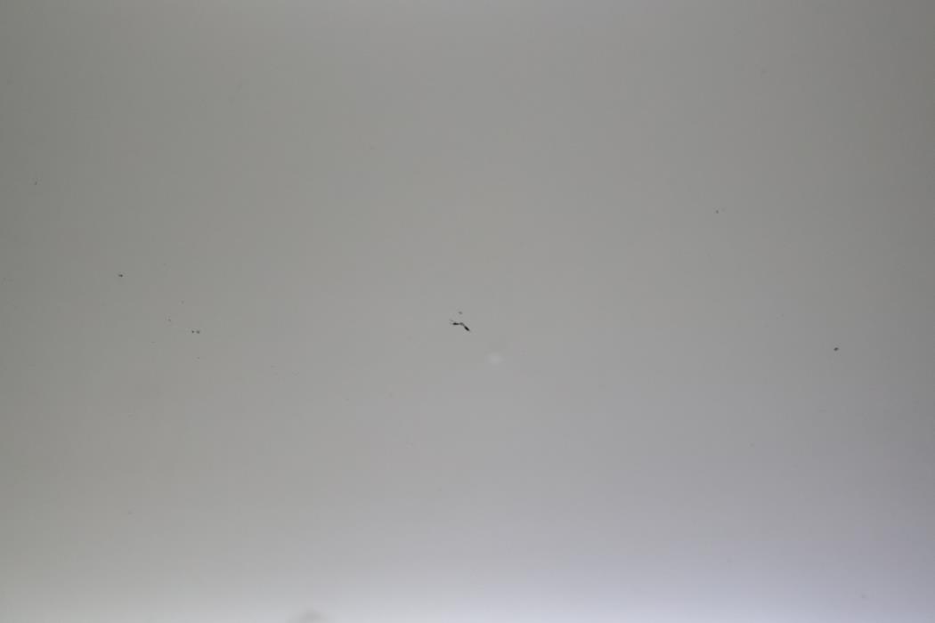 VOLKSWAGEN Scirocco 2009