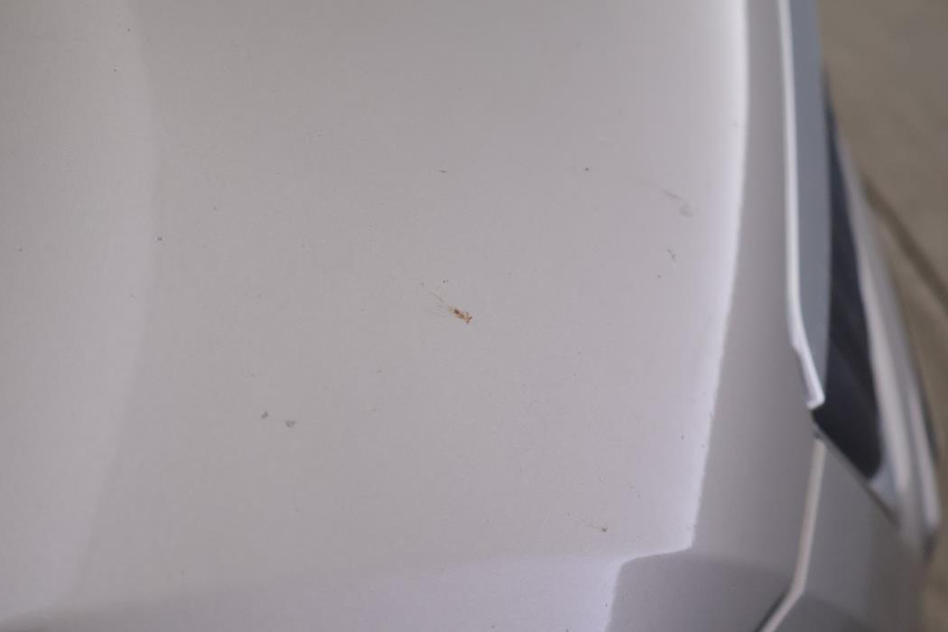 SKODA Fabia 2008