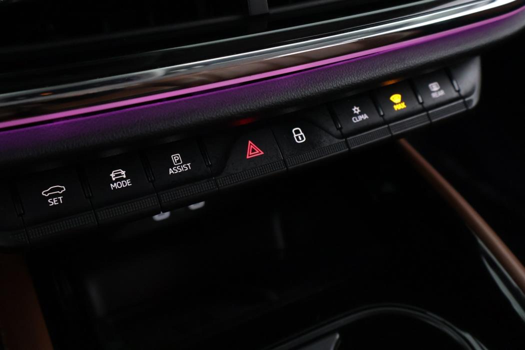 SKODA Enyaq 2022
