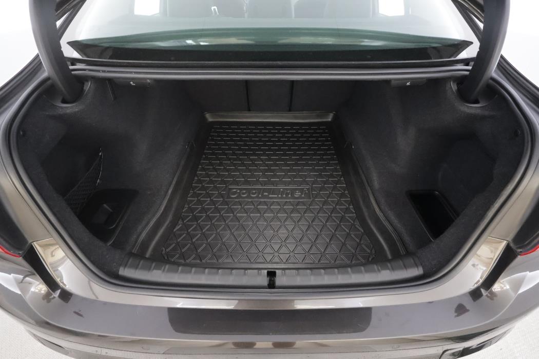 BMW 520 2018