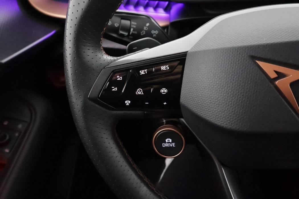 CUPRA TAVASCAN 2024