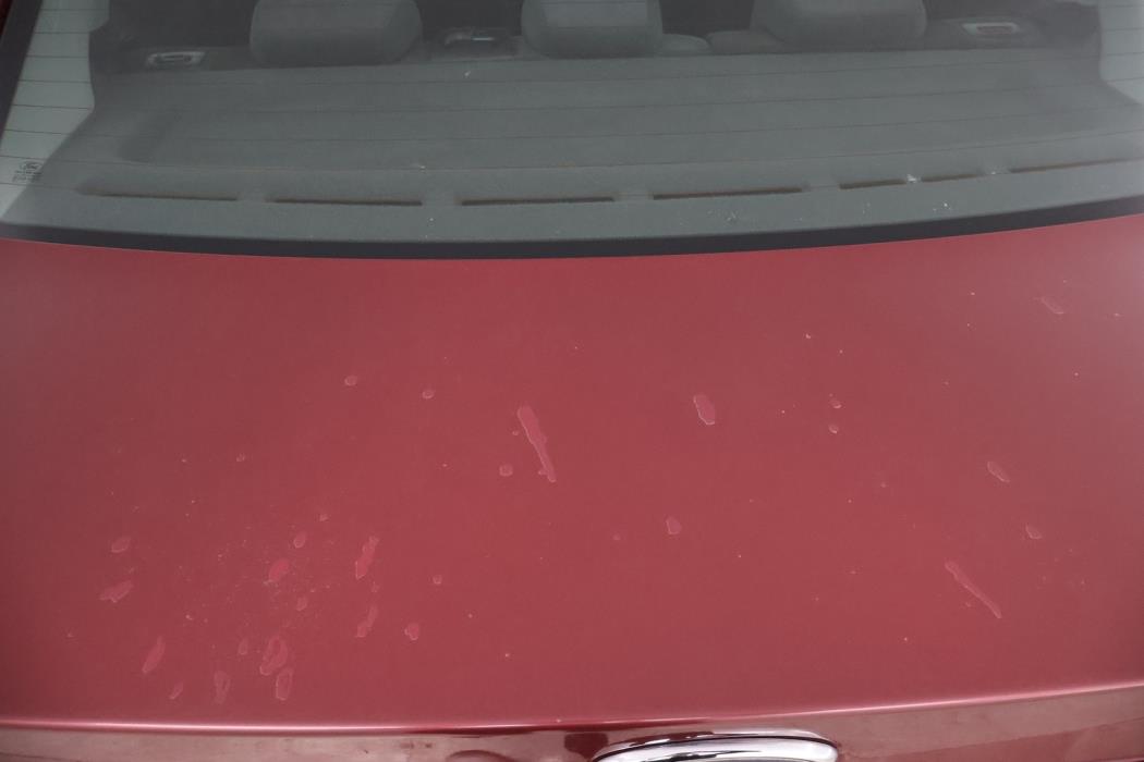 FORD Focus 2005