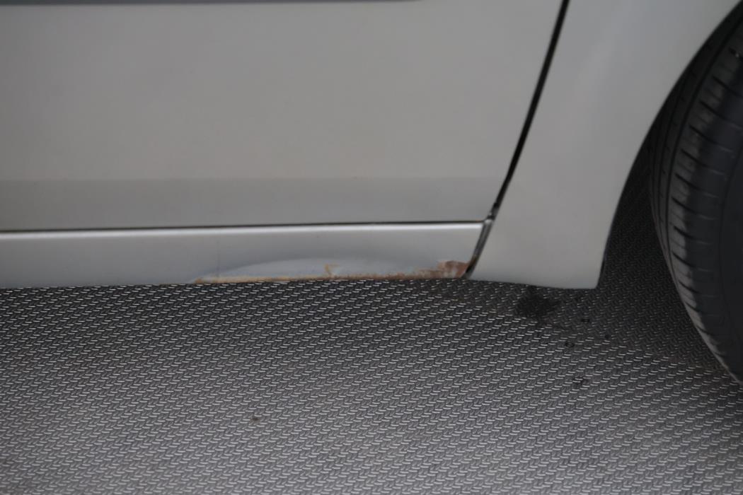 RENAULT Scenic 2007
