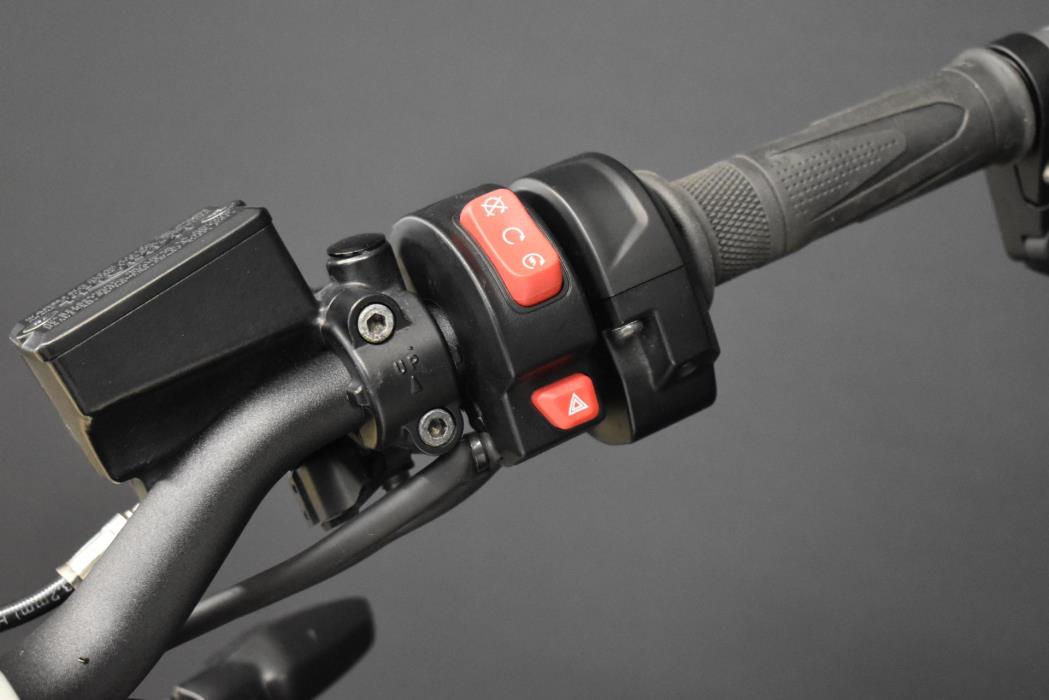 TRIUMPH Trident 2021