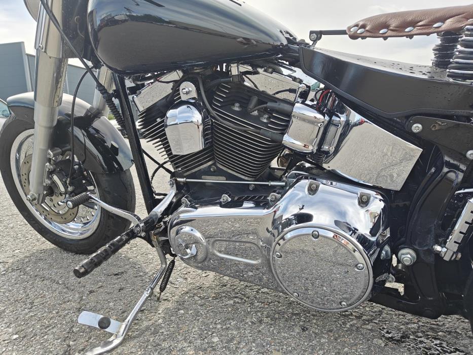 HARLEY-DAVIDSON Softail 2009