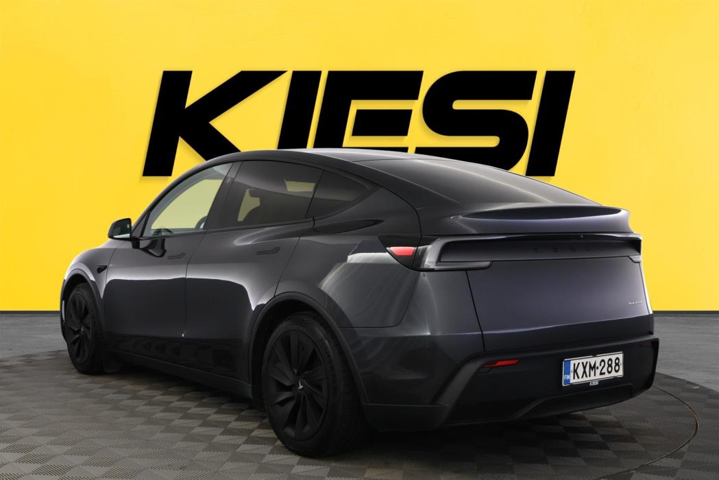 TESLA Model Y 2025