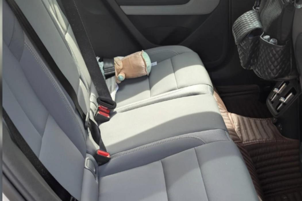POLESTAR 2 2024