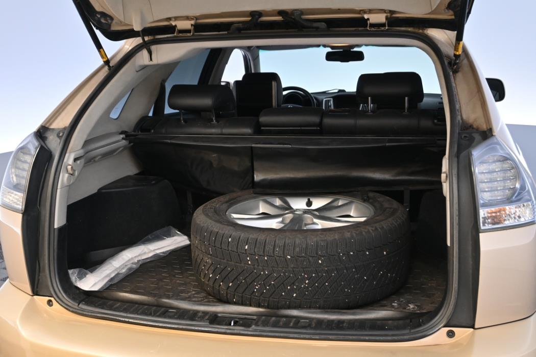 LEXUS RX 2009