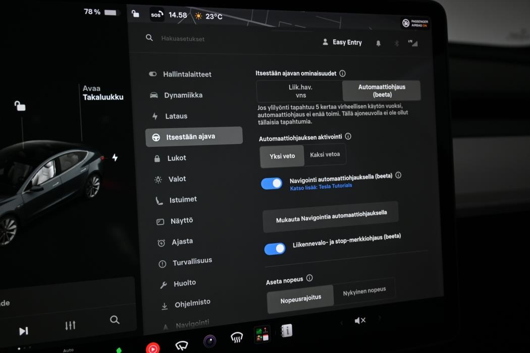 TESLA Model 3 2020