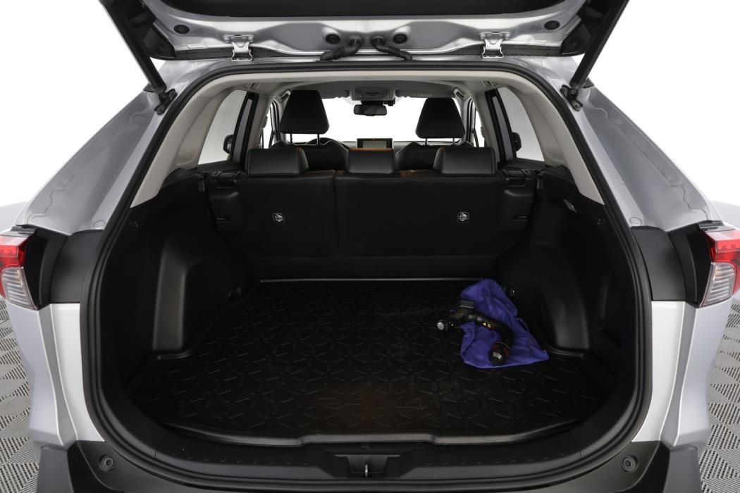 TOYOTA RAV4 2019