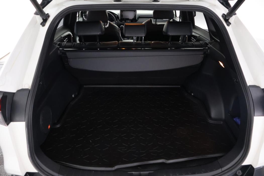 TOYOTA RAV4 2019