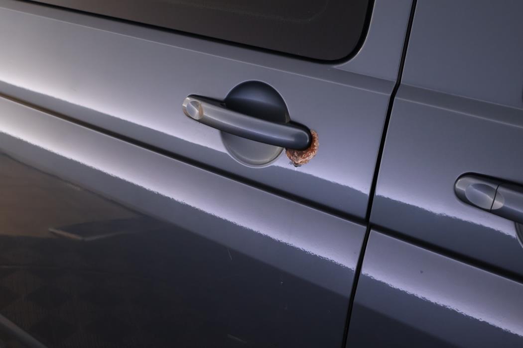 VOLKSWAGEN Multivan 2004