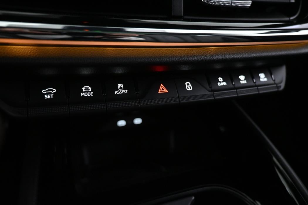 SKODA Enyaq 2022
