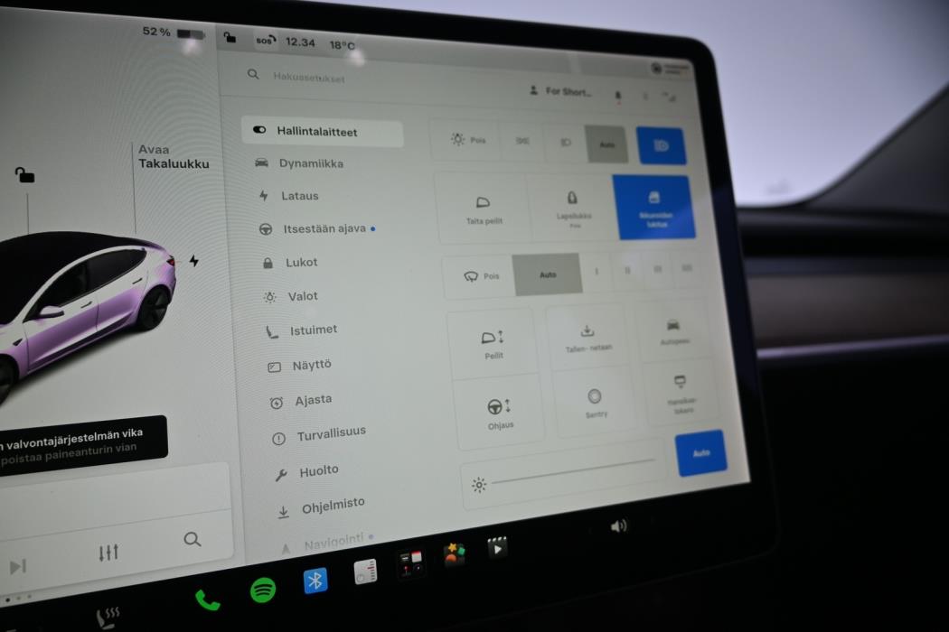 TESLA Model 3 2021