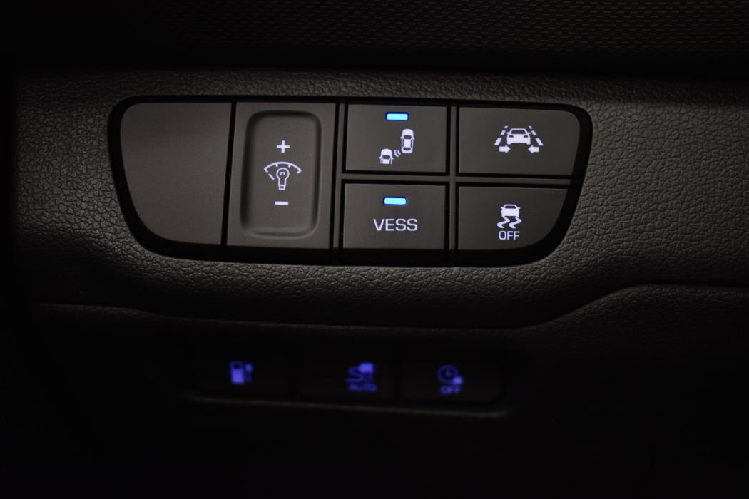 HYUNDAI IONIQ electric 2019